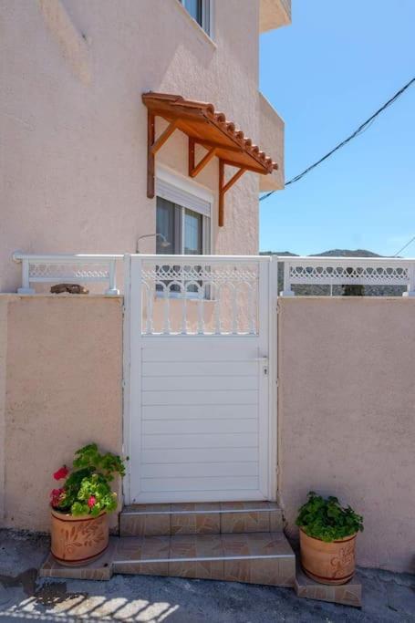Rosa 's House